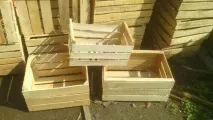 Заготівля та відновлення деревини для використання у творчих проектах відновлення
