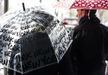 Парасолька — символ влади та багатства парасолька
