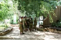 Біблійний зоопарк у Єрусалимі відвідувачів