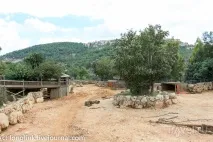 Біблійний зоопарк у Єрусалимі біблійний