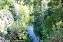 Біблійний зоопарк у Єрусалимі зоопарк
