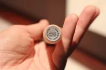 Блиск для губ Wildly Lush від MAC блиск