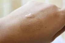 Блиск для губ Wildly Lush від MAC lush