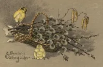 Будь великий, як верба, а здоровий, як вода, а багатий, як земля – Моя газета, Моя газета вода