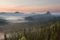 Бореальний ліс Північної Америки Америки