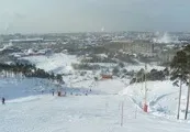 Чим зайнятися в новорічні канікули? зайнятися
