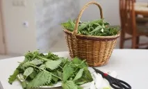 Цілющі засоби від лупи з кропиви лупи