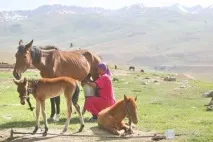 Що скуштувати з їжі в Казахстані бульйон