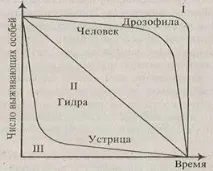 продължителност