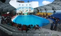 Дельфінарій Немо, Відпочинок в Одесі немо