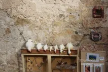 Село Ез на Блакитному березі Франції село