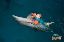 Дельфінарій Немо, Відпочинок в Одесі одесі