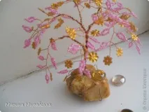 Дерева на камінні, Країна Майстрів країна
