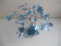 Дерева на камінні, Країна Майстрів країна