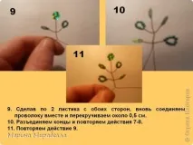 Дерева на камінні, Країна Майстрів камінні