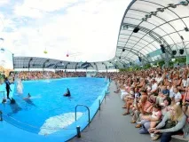Дельфінарій Немо, Відпочинок в Одесі одесі