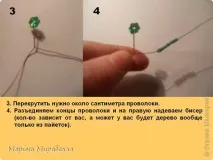 Дерева на камінні, Країна Майстрів країна