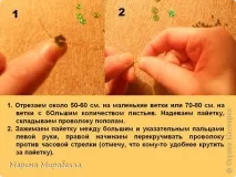 Дерева на камінні, Країна Майстрів країна