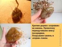 Дерева на камінні, Країна Майстрів країна