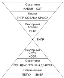 Ділова Піраміда Для Тигра начальник
