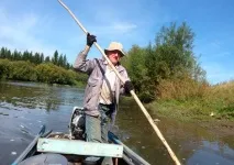 Видобуток кедрового горіха видобуток