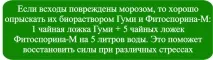 До 1000 кг картоплі легко виростити на 1 сотці! виростити