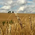 Давньоримська () 6 букв - пошук слів по масці та визначенню, відповіді на сканворди букв