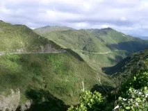 Визначні місця Веллінгтона з фото та описом, Фото міста та визначні пам’ятки курорту описом