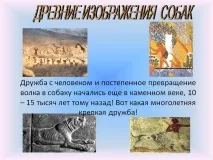 Давнє зображення собак - Презентація 122144-7 давнє