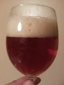 Два пива від приватної німецької пивоварні пшеничне Flensburger Weizen та темне Flensburger Dunkel пивоварні