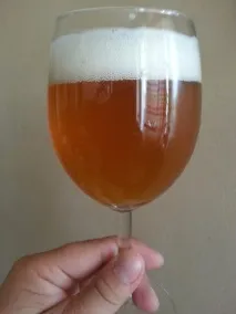Два пива від приватної німецької пивоварні пшеничне Flensburger Weizen та темне Flensburger Dunkel пивоварні
