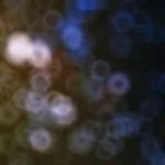 Ефект Боке у фотографії, Уроки фотографії, відео, майстер-класи та курси з фотографій для ефект