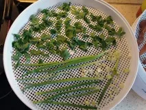 Електросушарка для продуктів Ротор - Дива - СШ-007 продуктів