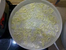 Електросушарка для продуктів Ротор - Дива - СШ-007 ротор