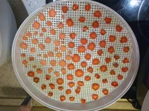 Електросушарка для продуктів Ротор - Дива - СШ-007 дива
