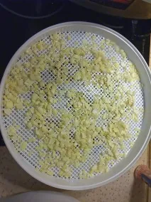 Електросушарка для продуктів Ротор - Дива - СШ-007 електросушарка