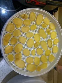 Електросушарка для продуктів Ротор - Дива - СШ-007 продуктів