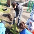 Есе «Моя професія дітей