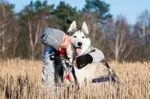 Їздовий спорт у Білорусі собаки