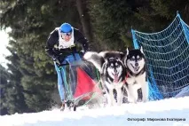 Їздовий спорт у Білорусі спорт