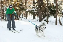Їздовий спорт у Білорусі спорт