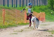 Їздовий спорт у Білорусі спорту