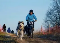 Їздовий спорт у Білорусі спорту