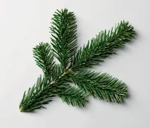перфекціоніст