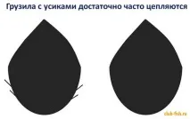 Форми (види) грузил та зачепи – Рибалка - Інформаційно-розважальний портал види