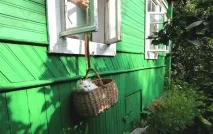 Фото забавних котів, що вміють стояти на двох лапах, надсилають на конкурс Metro стояти