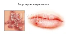 портал