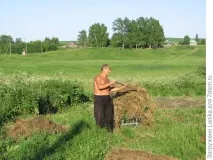 Міські божевільні, або Як ми садимо картоплю картоплю