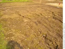Міські божевільні, або Як ми садимо картоплю картоплі