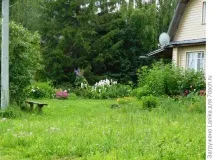 Міські божевільні, або Як ми садимо картоплю картоплю